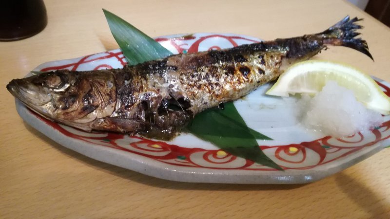 鰯 鰯