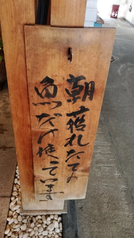 朝穫れたての魚だけ使ってます