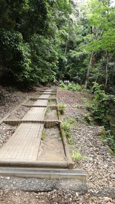 奥の院参道