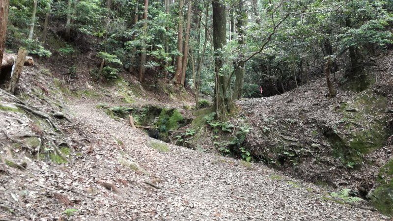 山道