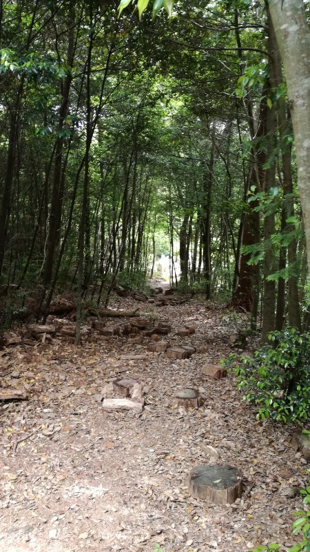 山道