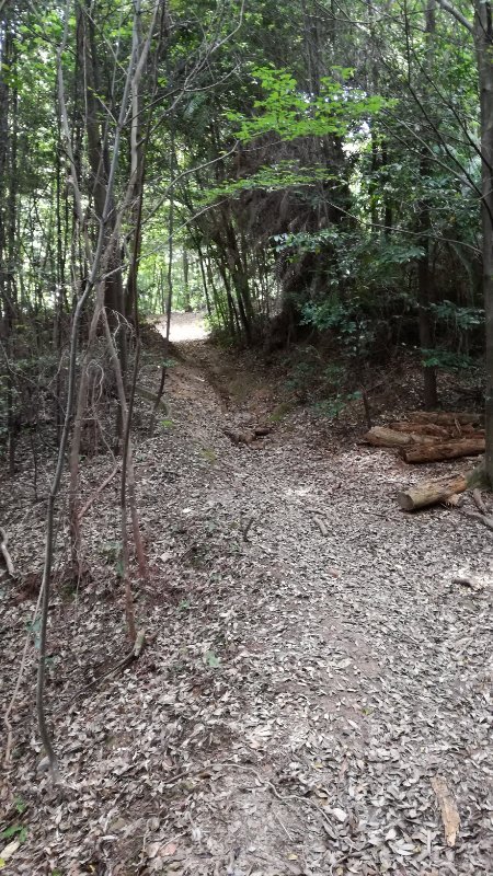 山道