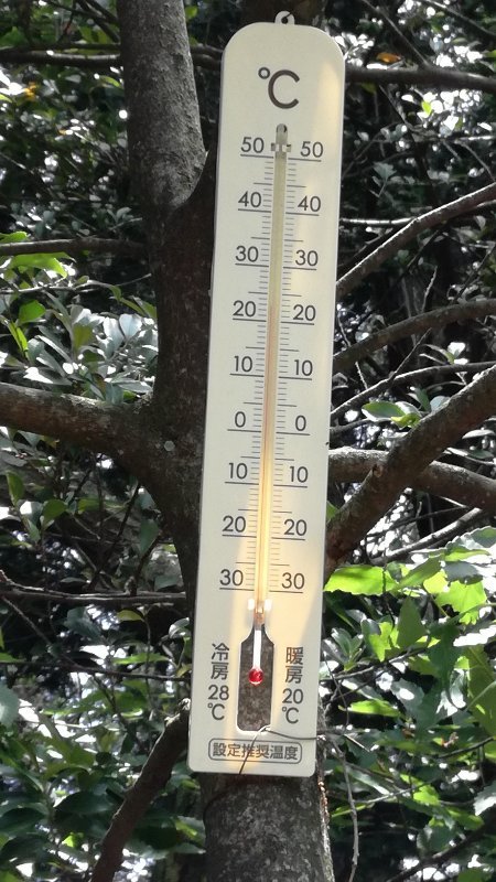 22℃