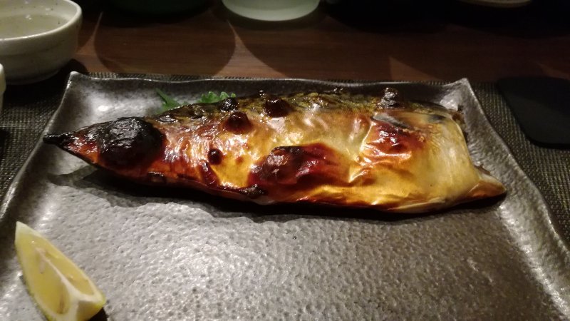 釧鯖