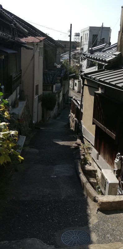 露地
