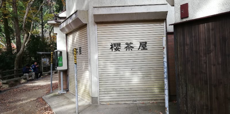 桜茶屋 桜茶屋