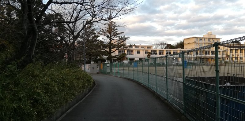 中学校