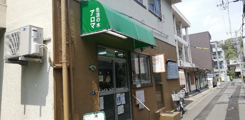 生活の木