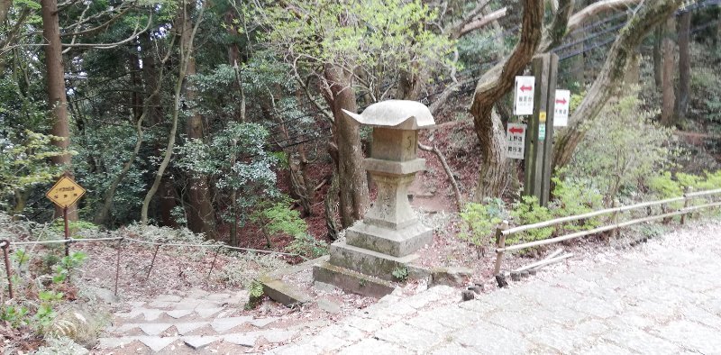 上野道