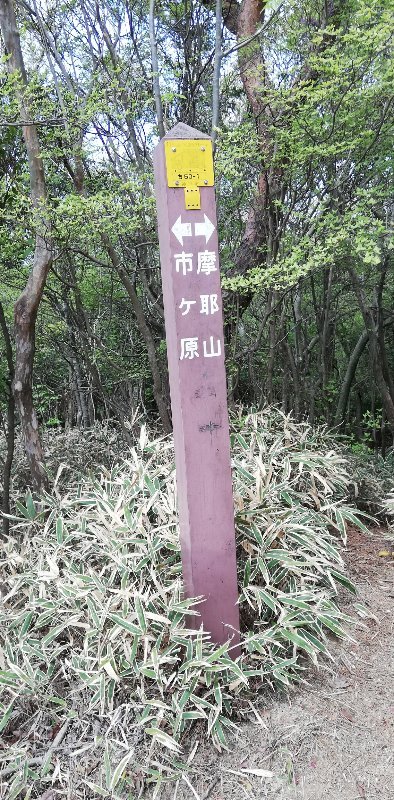 標識 標識
