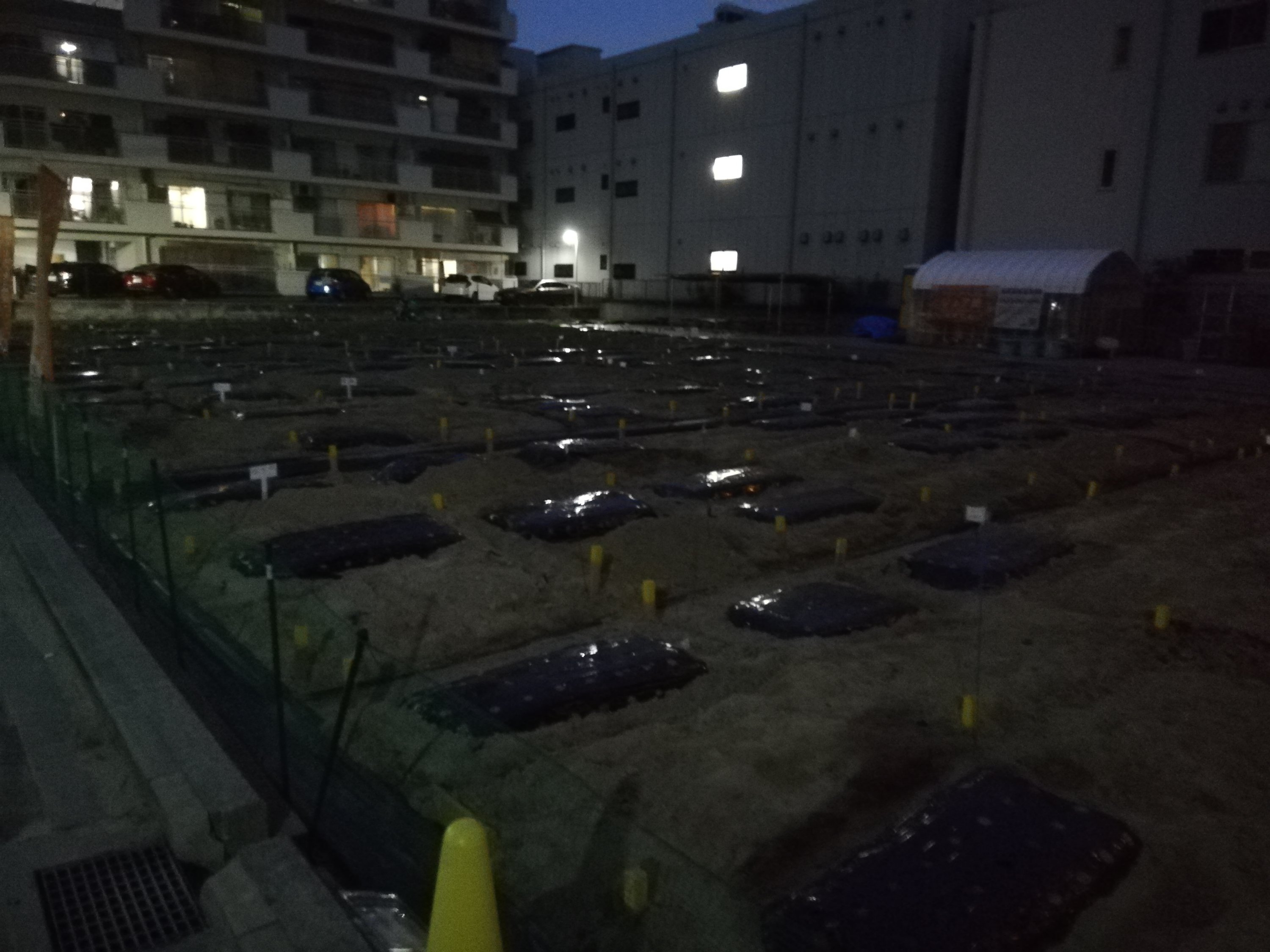 夜の水やり